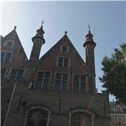 Insegnante inglese per recupero debito e rafforzamento della lingua